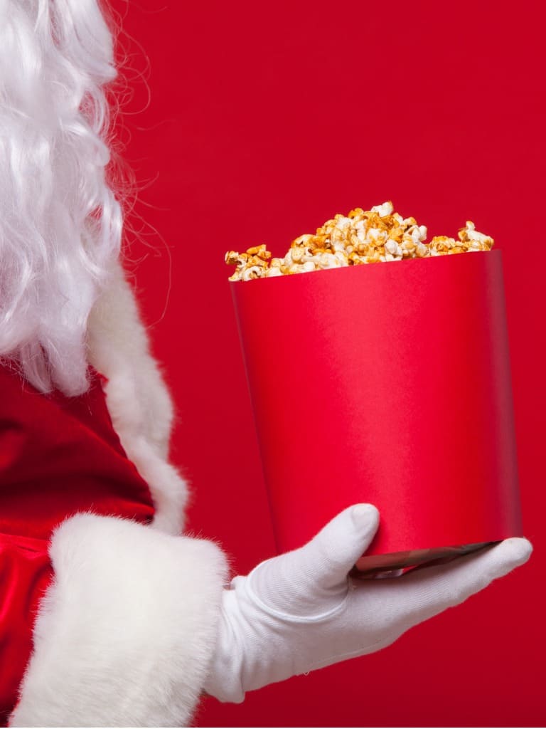 WH-Panto-Santa-Portrait