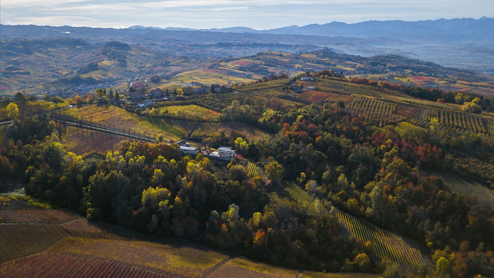 serradenari001