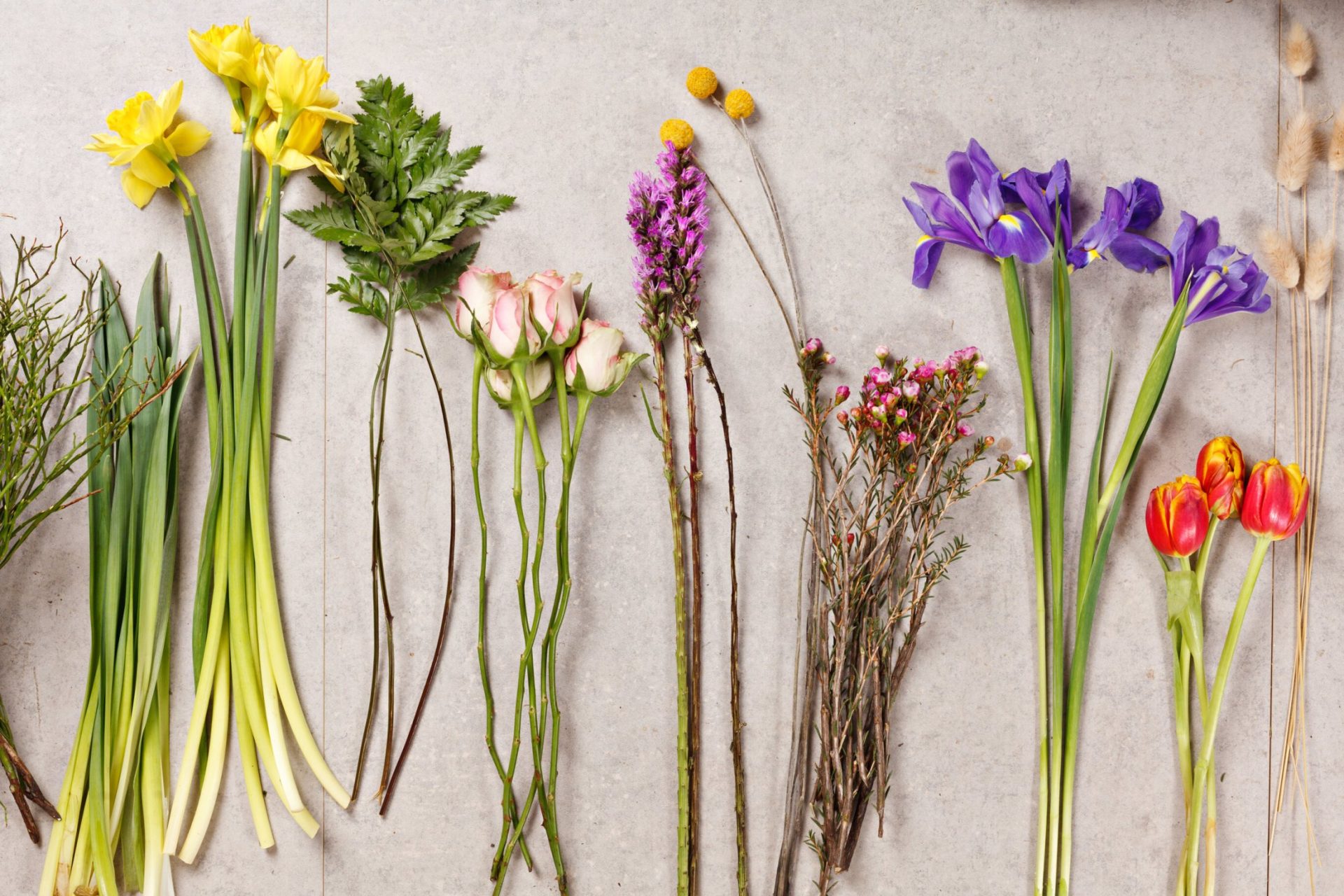 rsz_flowers-shutterstock_255423625