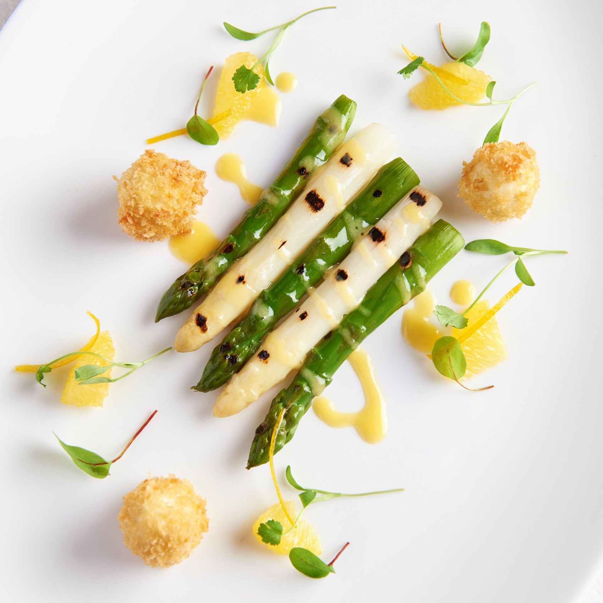 Wentbridge House 175