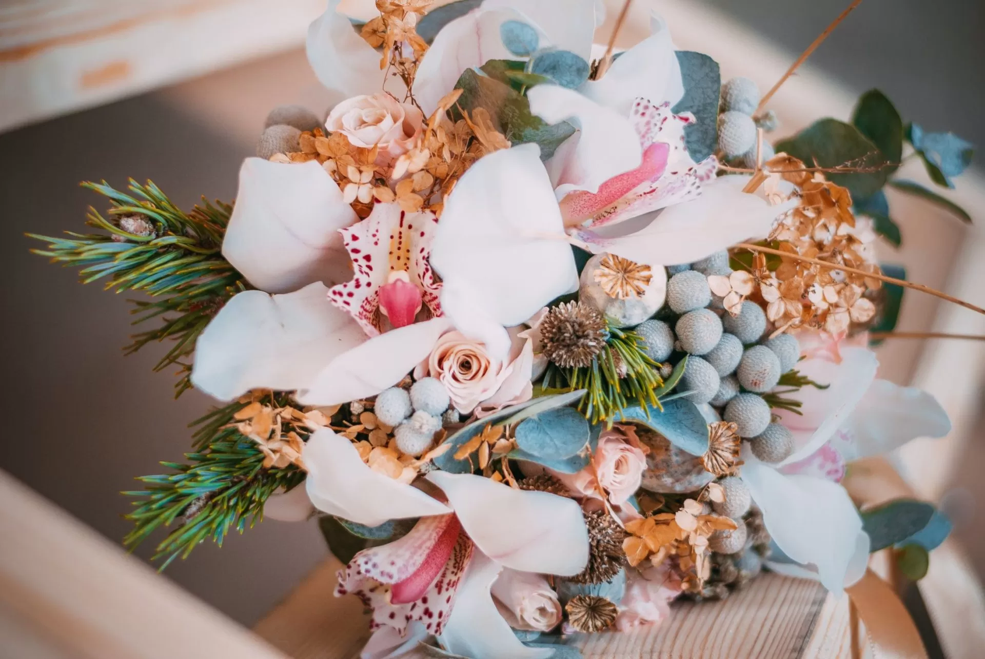 Christmas flowers