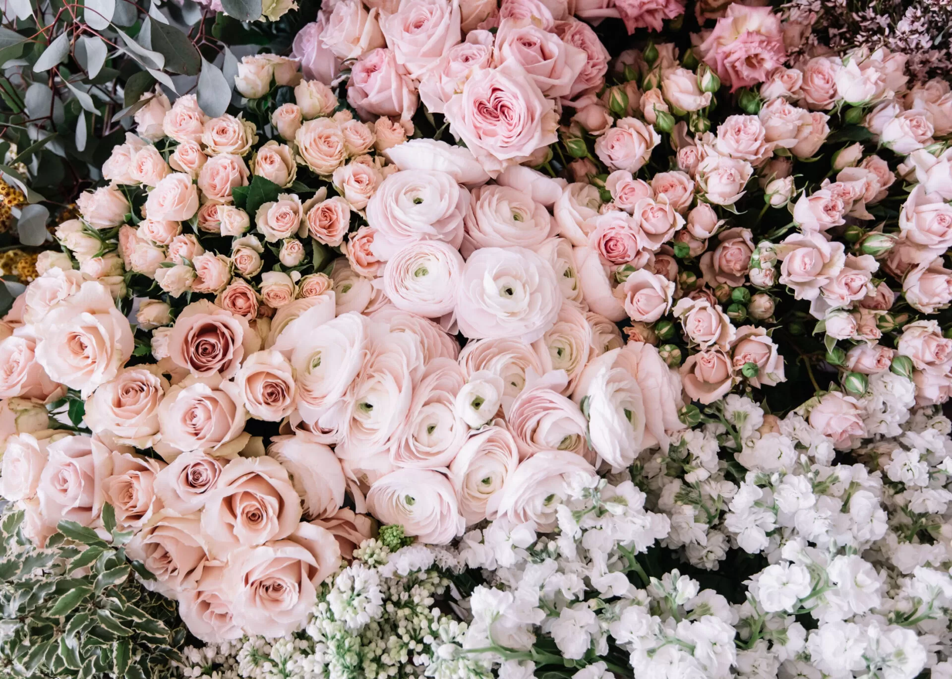 Beautiful fresh blossoming flower bed of roses, ranunculus, carnations, mattiola, lilac, eustoma in pastel pink colors as a fresh flower delivery at the florist shop, top view, flat lay