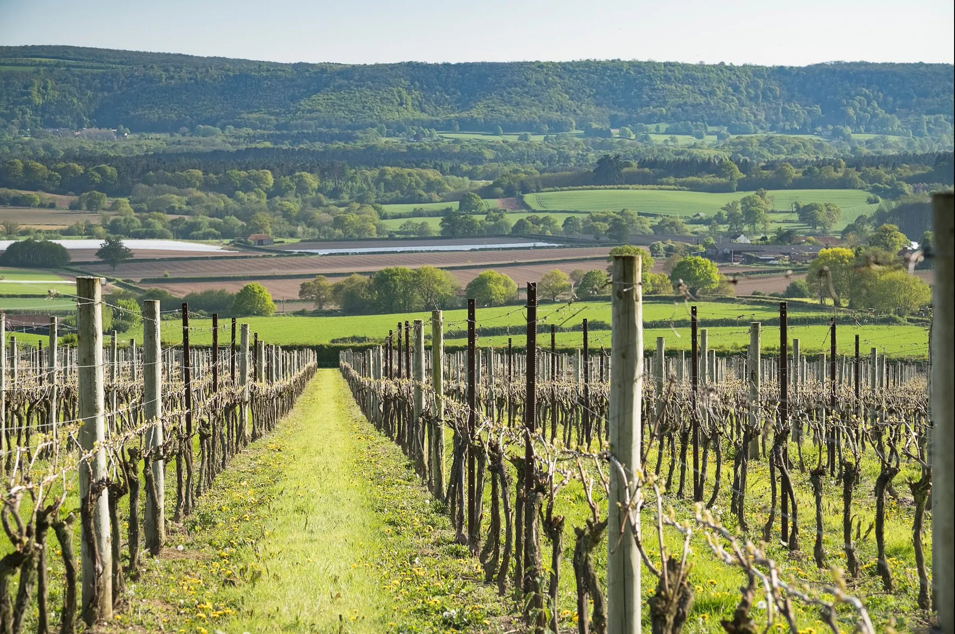 Nyetimber-Header